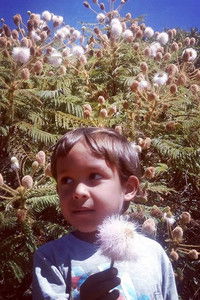 poster_Yan Pontinele