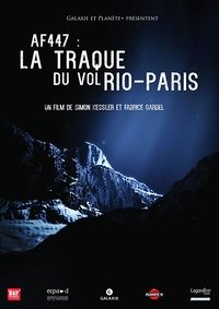 AF 447 : la traque du vol Rio-Paris (2019)