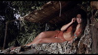 «Гунгала — обнаженная пантера (1968)» — обои к фильму #3