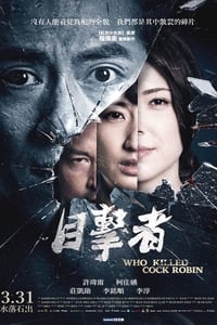 目擊者 (2017)