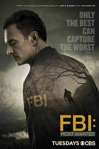 Постер сериала «ФБР: Самые разыскиваемые преступники (2020-2025)» — (32 из 71)