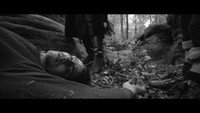 «The Colours of Desire (2017)» — обои к фильму #1