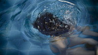 «Laurita (2009)» — обои к фильму #1