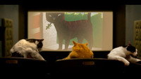 «Quarantine Cat Film Fest (2020)» — обои к фильму #2