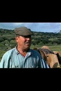 O Guardador de Rebanhos (1999)