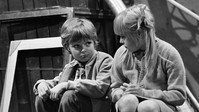 «Dubové carování (1981)» — обои к фильму #2