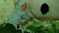«С тобой и без тебя (1973)» — обои к фильму #1