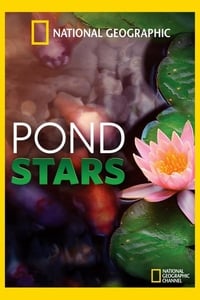 copertina serie tv Pond+Stars 2014
