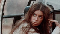 «Хищные птицы (1973)» — обои к фильму #1