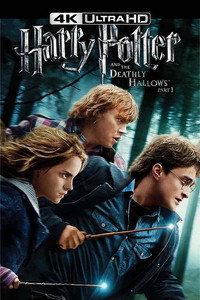 Постер фильма «Гарри Поттер и Дары Смерти: Часть I (2010)» — (42 из 136)