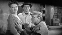 «Пилюли для Аурелии (1958)» — обои к фильму #3