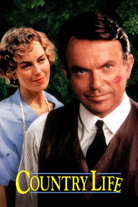 Постер фильма «Провинциальный роман (1994)» — (2 из 11)