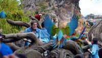 «Magic of Disney's Animal Kingdom (2020)» — обои к сериалу #3