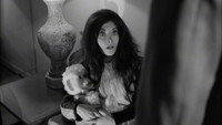 «Признания сумасшедшей кошки (1968)» — обои к фильму #1