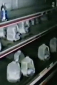 poster_The Mexia Incident