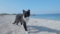 Okinawa/Kudaka: A Spiritual Paradise