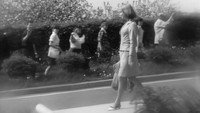 «Я не хочу сниматься (1967)» — обои к фильму #4