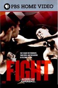 Poster de The Fight