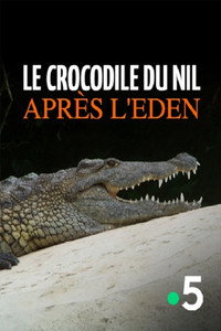 Le crocodile du Nil après l'eden