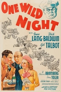 Poster de One Wild Night