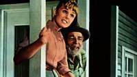 «Tammy and the Millionaire (1967)» — обои к фильму #1