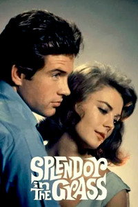 Постер фильма «Великолепие в траве (1961)» — (19 из 32)