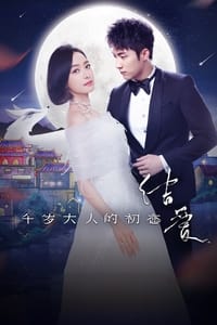 The Love Knot: His Excellency's First Love (2018)