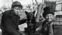 «Часы надежды (1955)» — обои к фильму #6