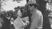 «Last of the Wild Horses (1948)» — обои к фильму #1