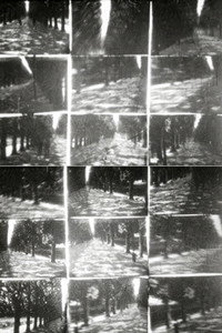 Simultanés/circostances 2. Jardin de plantes (1977) poster