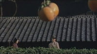 «Kiyoshi shojo shibari (1979)» — обои к фильму #5
