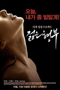Poster de 젊은 형부