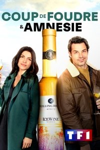 Poster de Coup de foudre et amnésie