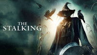 The Stalking
