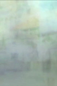 Varifold