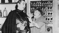 «Мать Райли встречает вампира (1952)» — обои к фильму #1