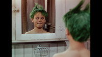 Le Garcon aux cheveux verts