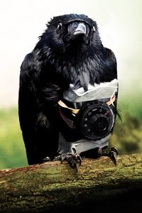 movie-images