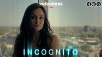 «Incognito (2023)» — обои к сериалу #3