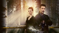 «Кардинал (2017 - 2020)» — обои к сериалу #10
