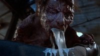The Fly