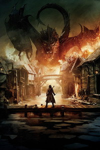 Постер фильма «Хоббит: Битва пяти воинств (2014)» — (11 из 134)