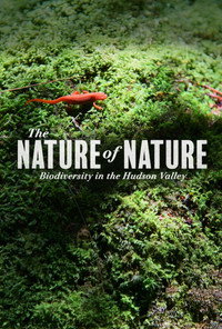 The Nature of Nature: Biodiversity in the Hudson Valley (2025) subtitle poster