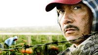 Обои к сериалу «Американское преступление (2015-2017)» — (11 из 25)