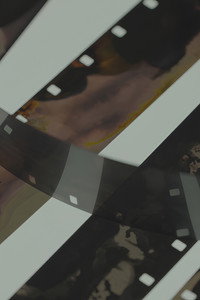 Erotic Blossoms In A Dream