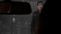 Nocturnal Animals