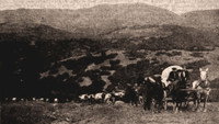 «One Hundred Years of Mormonism (1913)» — обои к фильму #1