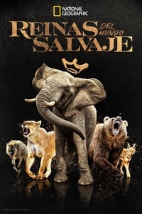 Poster de Reinas del mundo animal