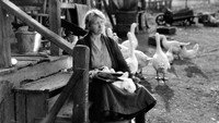 «The Goose Woman (1925)» — обои к фильму #1