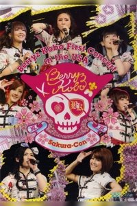 Berryz Kobo First Concert in the USA (2011)